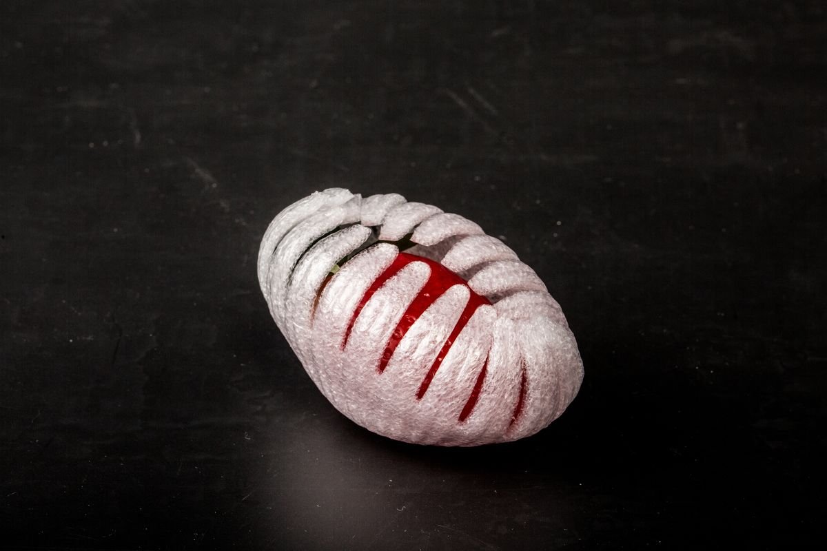 Full-Wrap Strawberry Cushion — 草莓全包缓冲套 | ZENYARE fruit packaging